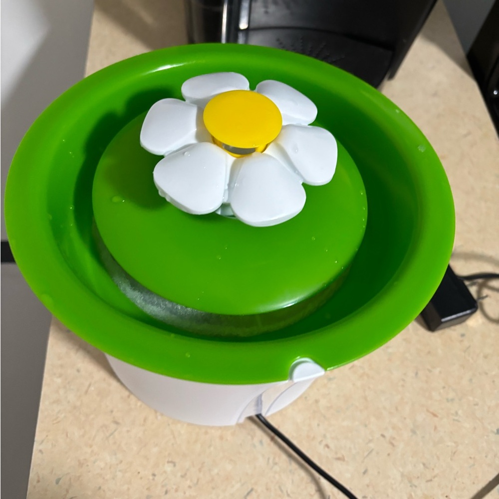 Green and White Flower Fountain